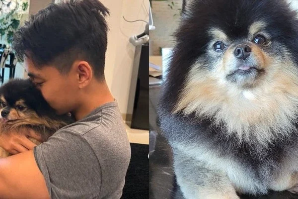 Yeontan Death